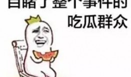 热门大瓜热心的朝阳爆料.网红大瓜博雅吃瓜视频最全观看,网红大瓜全解析，朝阳爆料热门大瓜一网打尽